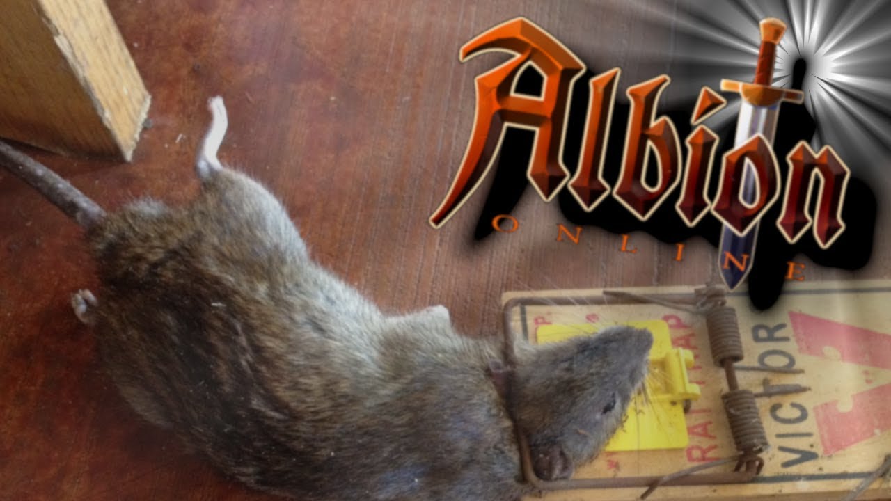 Albion Online Pest Control YouTube