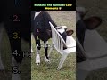 Ranking The Funniest Cow Moments🐮 #shorts #funny #moments #cow