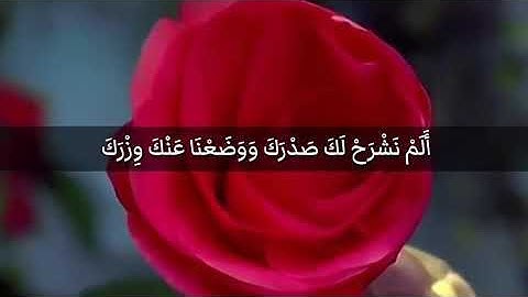 هزاع البلوشي - ألم نشرح لك صدرك | سورة الشرح