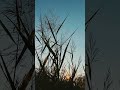 Pexels Nature 10395606 1080X1920