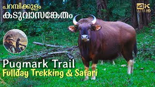 Pugmark Trail in Parambikulam Tiger reserve | Forest safari and Trekking