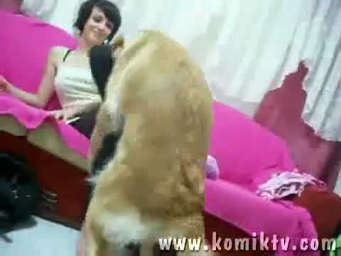 Tecavüzcü sapık köpek