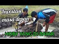 Omzet ratusan juta dalam sekali panen || Desa Cibuluh ujungjaya Sumedang
