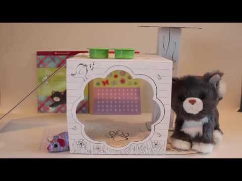 american-girl-doll-himalayan-cat-set-review/opening!