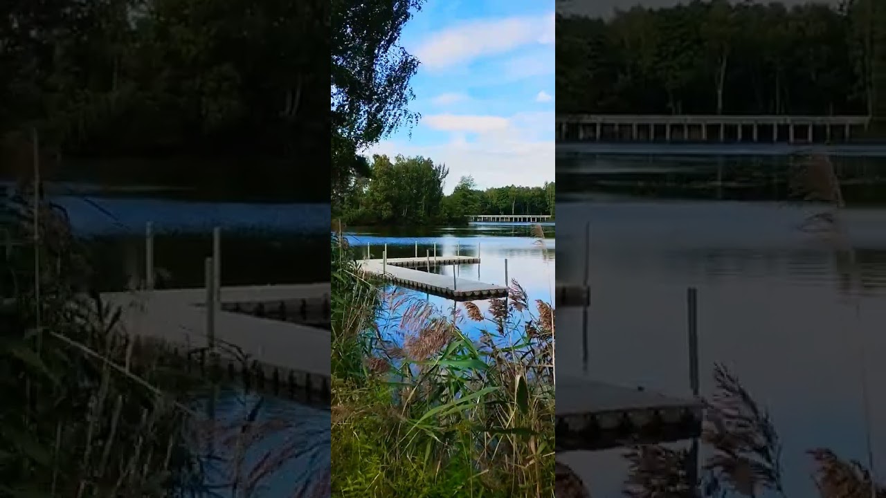 Życie podczas szturmu ataków ma swoje małe parzydełka i pazurki