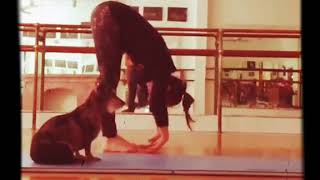 Upward Facing Dog