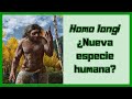 Homo longi ¿Denisovanos? #homínidos #neanderthal #evolución #denisovanos