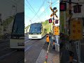 【鹿児島市電7001号】【新川4号踏切】を通過します。 #shorts #鹿児島市電 #tram