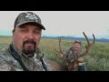 Elk Hunting