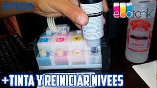 COMO RELLENAR TINTA Y REINICIAR NIVELES DE IMPRESORA MULTIFUNCIONAL EPSON  L355 - YouTube