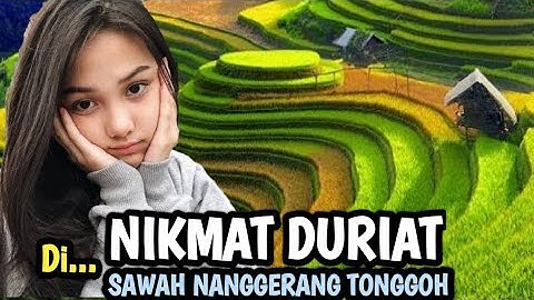 NIKMAT DURIAT- FANNY SABILA, Pop Sunda  sambil menikmati indahnya alam Sawah Nangerang Tonggoh