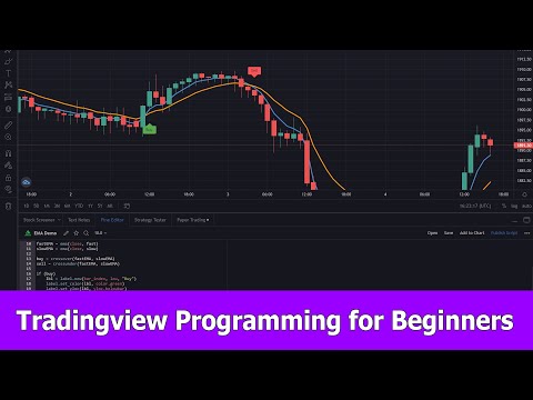 Tradingview Pine Script Programming Beginner Tutorial
