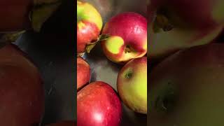 McIntosh apple so expensive time to make a tiny apple pie #ScratchApplePieAboutToMake