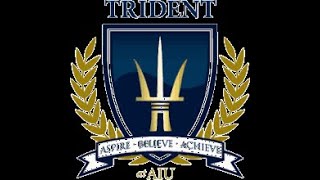 ITM 590 Capstone Project Agile Alliance