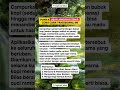 Punya Uban Jangan Di Semir #videoshort #quotes #motivasi #dakwah #fyp