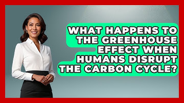 What Happens To The Greenhouse Effect When Humans Disrupt The Carbon Cycle? - Explaining Ecology