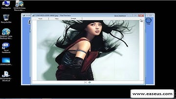 Easy undelete NTFS/FAT partition software