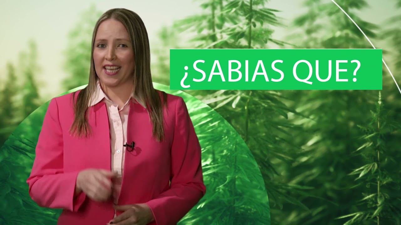 Resumen reportajes -Segunda Temporada programa 1 Cannalife