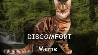 DISCOMFORT meme - Leopardstar Warriors