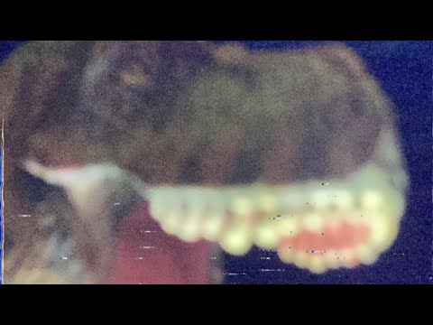 Leaked footage (Jurassic Park analog horror)