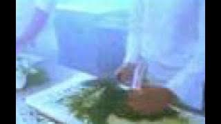 Star Wash - Strong Like A Lion