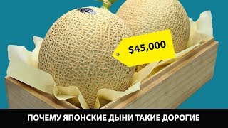 Почему японские дыни такие дорогие