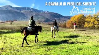 Cavallo ai piedi della montagna del Sirente in Abruzzo con Majellando