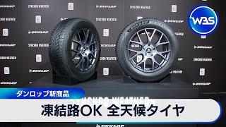 New DUNLOP All-Season Tires Handle Icy Roads Too【WBS】