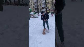 ПЕРВАЯ ПРОГУЛКА 🐕