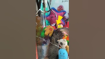 Thumbnail of Boneka Kucing Hidup didalam mesin Capit #Videoviral #capitboneka
