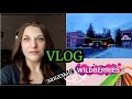 ВЛОГ/wildberries покупки/ПРОГУЛКИ #vlog #Влог#домашнийвлог