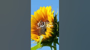 سورة النحل | بصوت ياسين الجزائري / Surah Al Nahl | Yassine Al-Jazairi #quran #المصحف