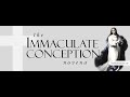 Day 7 - Immaculate Conception Novena | 2023