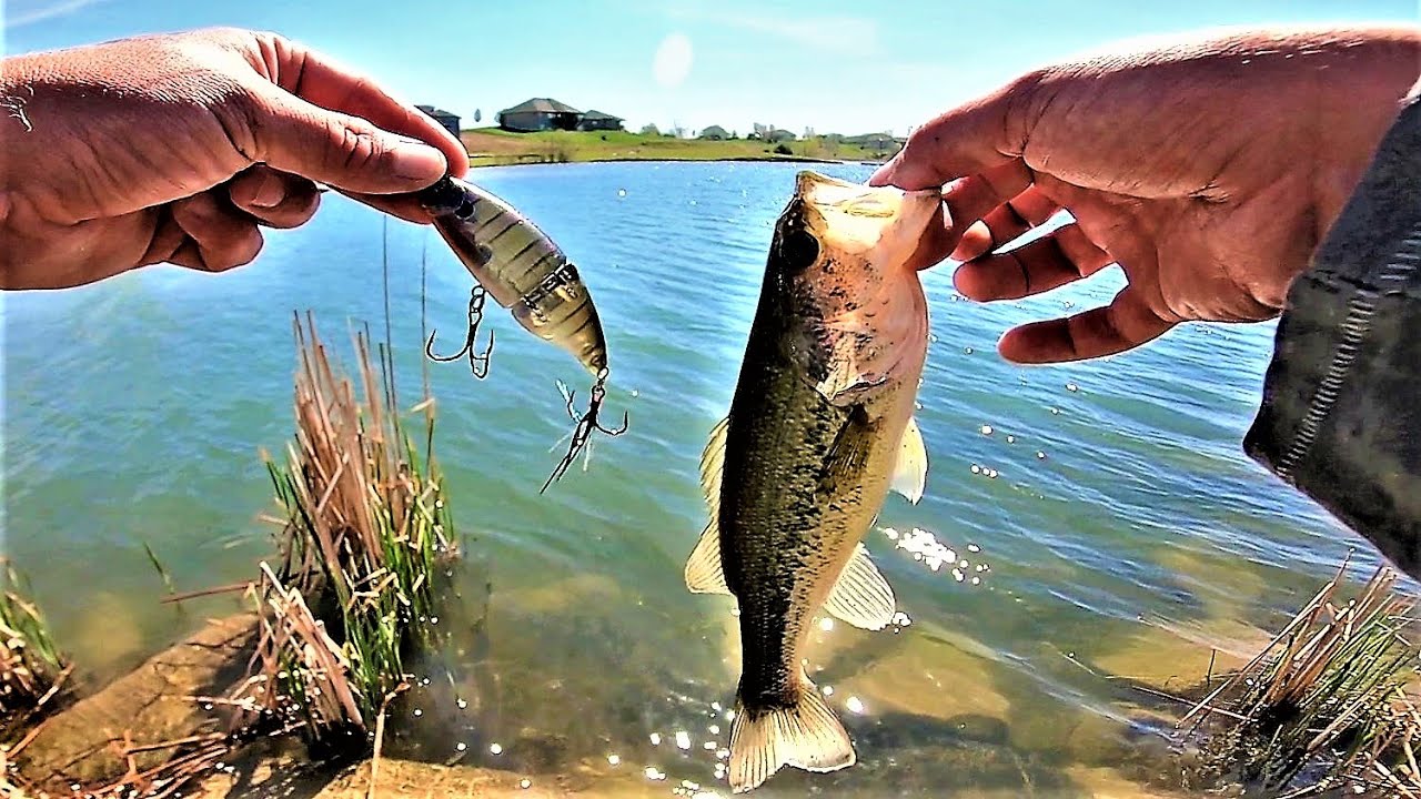 Fishing a PRIVATE LAKE In IOWA (Crystal Clear Water) YouTube