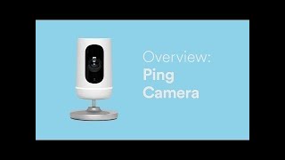 Overview: Vivint Indoor Camera on the Vivint App screenshot 4