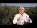 David Icke in Uluru (Ayers Rock)