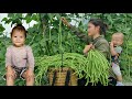 Happy days with two children harvest long bean garden to sell at the market  cooking  animal care