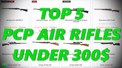 Top 5 Best Budget PCP Air Rifles Under 300$