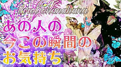 緒華 花のタロット占いチャンネル Youtube