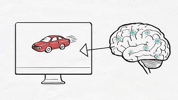 The Neuroscience of Whiteboard Animations