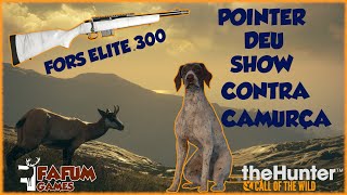 CACHORRO POINTER AJUDOU MUITO NESSA CAÇADA - The Hunter Call of the wild