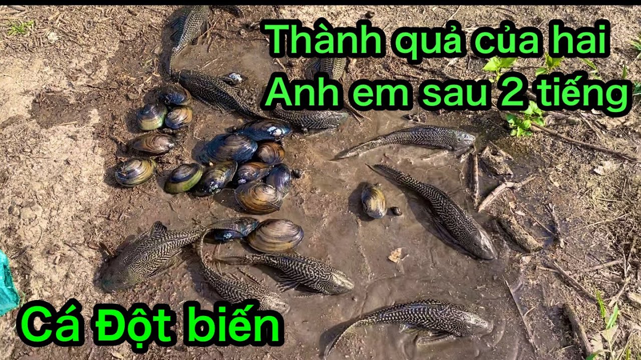 Đi bắt cá và bắt được cá đột biến khủng lồ | Trai Bản Vlog - YouTube