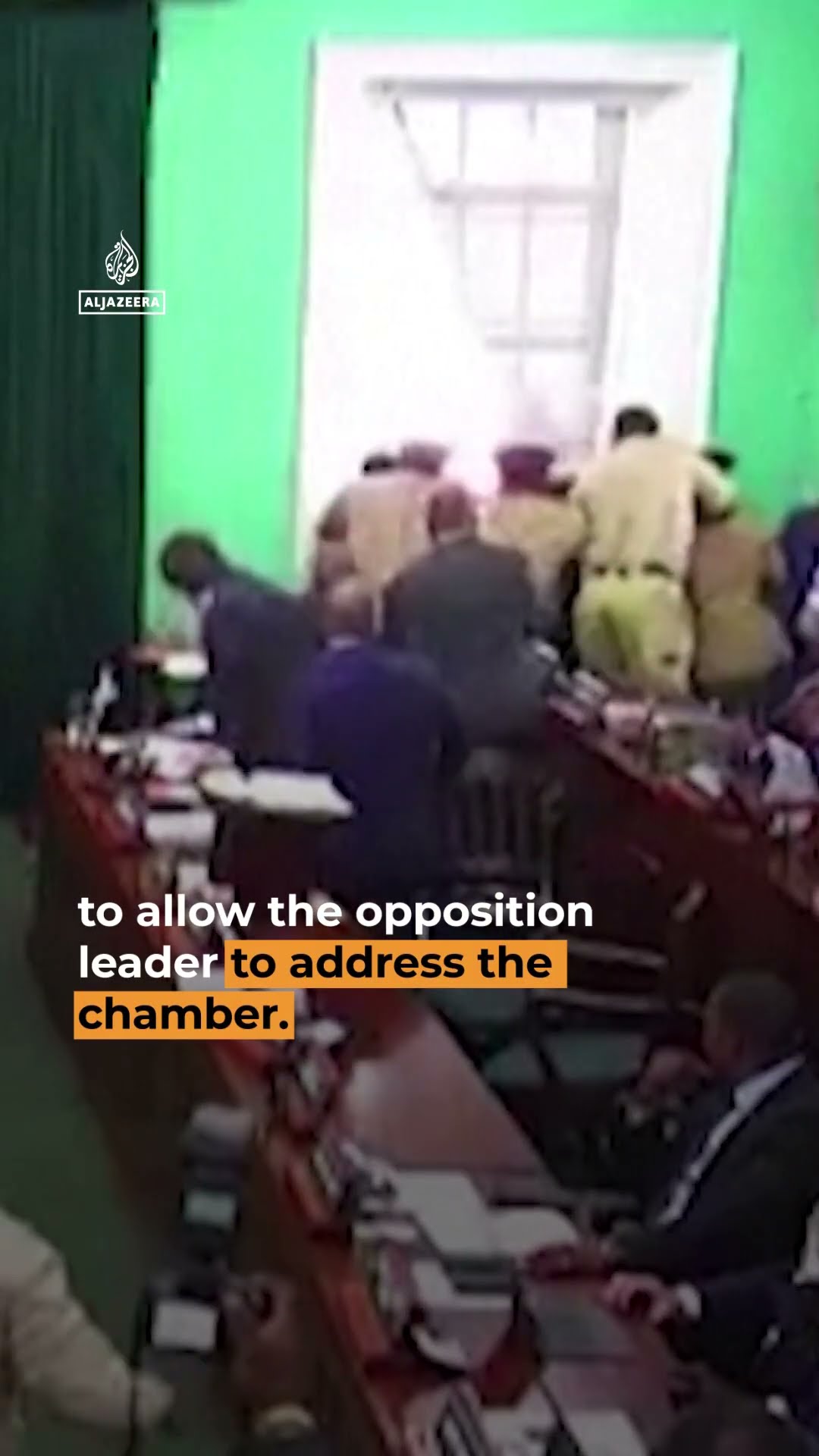 Bahamas politician hurls parliament mace out of window | AJ #shorts