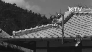 대한뉴스 제 821호-일하는 농촌