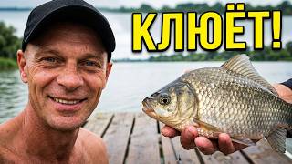 Crucian carp fishing in Vilkovo. The "Crucian Killer" in action!! screenshot 3