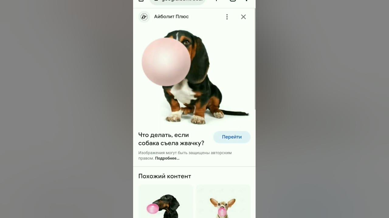 Мышка сосиска - YouTube