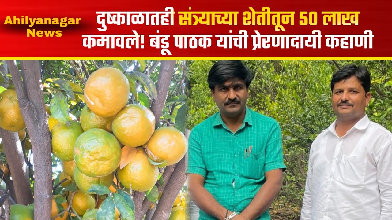 Ahilyanagar News | दुष्काळातही संत्र्याच्या शेतीतून 50 लाख कमावले! बंडू पाठक यांची प्रेरणादायी कहाणी