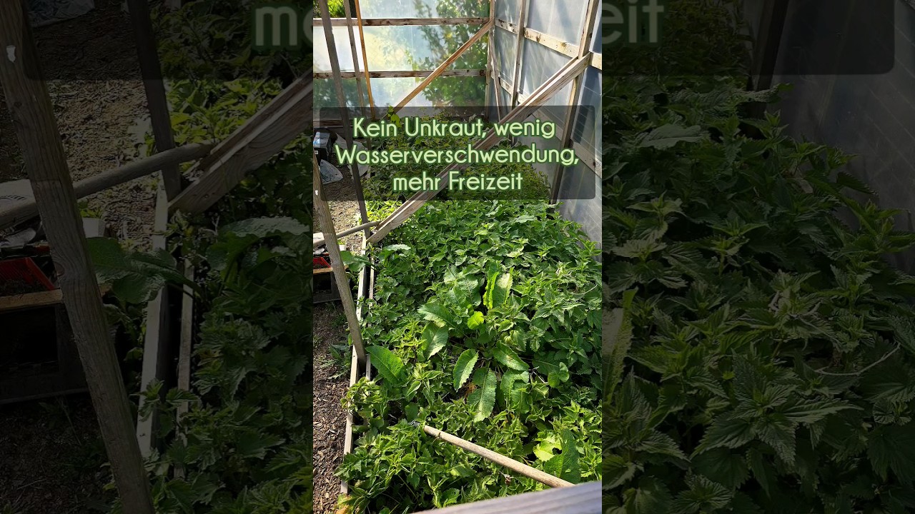 Erlebe Aquagarts Bodengewebe: Reißfest, UV-stabil, umweltfreundlich! 