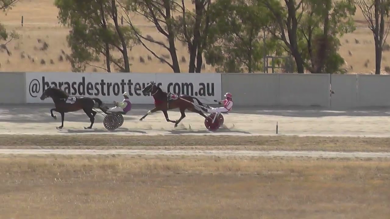 Maryborough T4 25.1.26