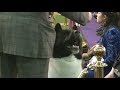 American Akita in Westminster dog show 2019